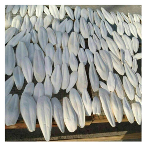 Os de seiche du Vietnam, export en vrac, qualité stable, offert au meilleur prix et devis compétitif pour les acheteurs - Product Image 1