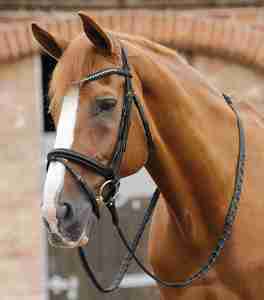 2026 Último Diseño Riendas de Cuero para Caballo de Carreras Antideslizantes Accesorios de Riendas Laterales Transpirables Duraderos para Equitación - Product Image 2