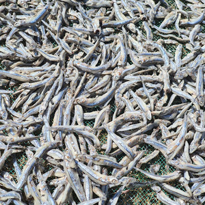 Anchois Myeolchi lyophilisés 100 g par paquet - Product Image 3