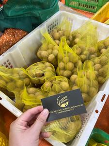 Fruta Longan fresca de alta calidad al por mayor para restaurantes al por menor y exportación con gran sabor y aroma - Product Image 2