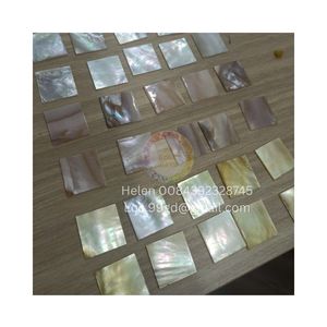 Puces de coquille d'ormeau émaillé de haute qualité écologique pour l'artisanat de bijoux en résine incrustation de guitare Art de mosaïque moderne pour remis à neuf - Product Image 3