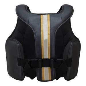 Protecteur de corps de boxe professionnel de haute qualité garde de poitrine équipement de Logo personnalisé pour MMA karaté Taekwondo - Product Image 2