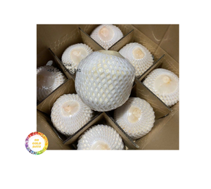 Bananes fraîches de haute qualité coupe de diamant eau de noix de coco naturelle douce facile à ouvrir pour l'exportation en vrac Type de culture commun - Product Image 5