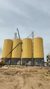 Ventes directes d'usine 100-10000ton Silos à grains en acier galvanisé pour un stockage efficace des grains - Product Image 5