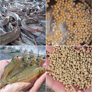 Farine de poisson Shandong pour poissons et chiens, 60-65% de protéines, probiotiques, additifs, qualité alimentaire, grain, 25 kg/sac, prix de gros - Product Image 4