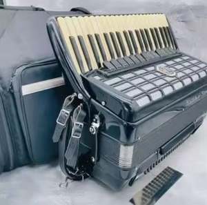Accordéon professionnel à 41 touches et 120 basses avec sac de transport noir, testé et prêt à jouer - Product Image 3