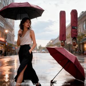 Paraguas Plegable Clásico con Mango de Madera, Doble Capa, 10 Varillas, Material de Poliéster, Diseño Compacto, Resistente al Viento y la Lluvia, Protección UV - Product Image 4