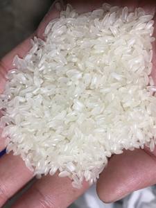 ข้าวญี่ปุ่น2025- Riz-arroz-whatsap 0084 989 322 607 - Product Image 2