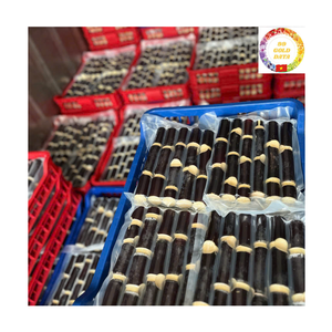 Bâtonnets de canne à sucre surgelés frais de la ferme, sucrés et juteux, méthode IQF assurant une longue durée de conservation, prêts à l'exportation - Product Image 3