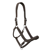 Muestra gratis nueva llegada caballo ecuestre personalizado montar cuero caballo Halter occidental personalizado seguridad cabeza de caballo Collar