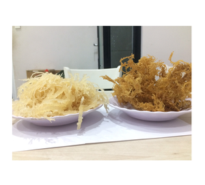 Musgo de mar seco rganic - Product Image 6