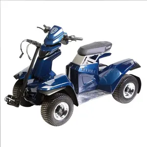 Betaalbare E E C Goedgekeurd Ellwee Easy Golfbuggy 8V 63ah Of 48V 100ah