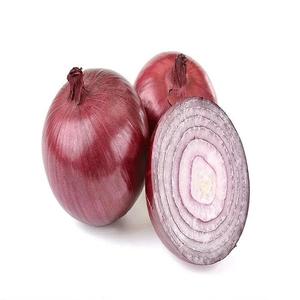 Oignon rouge thaïlandais biologique frais, non pelé, prix avantageux, meilleure qualité, livraison rapide disponible - Product Image 3