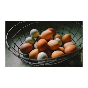 ราคาขายส่งไข่ไก่สำหรับบริโภค / ไข่ไก่คุณภาพดีที่สุด ราคาดีที่สุด ไข่ไก่สดจากฟาร์มสำหรับบริโภคจากเบลเยียม - Product Image 4