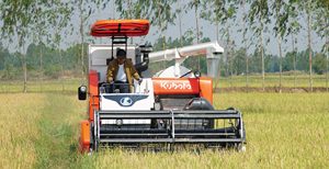 Cosechadora de Arroz de 108 HP Kubota DC-108X con Orugas de Goma, Máquina Diésel para Cosechar Granos, Ideal para Campos de Arroz Grandes y Uso en Zonas Húmedas - Product Image 3