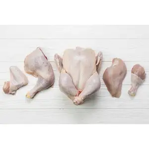 Poulet entier congelé en vrac de qualité supérieure 2024/poulet congelé pour l'exportation