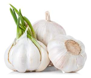 Ukraine Export Standard Natural <b>Fresh</b> <b>Garlic</b> Peeled for Food Use - Product Image 3