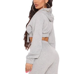 Venta al por mayor ODM/OEM Unisex Plaid bordado sudaderas con capucha de gran tamaño recortada cuello redondo sudadera invierno 100% algodón polar bolsillo conjunto - Product Image 5