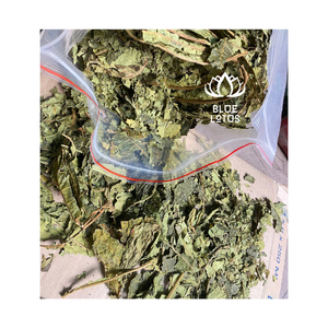 สารสกัดจากใบมะละกอตากแห้งผลิตภัณฑ์ทางการเกษตรจากเวียดนามขายส่ง - Product Image 1