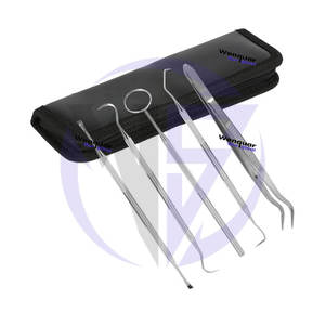 Kit de Herramientas Dentales para Remover Placa, 6 Piezas, Raspador de Sarro y Juego de Palillos de Acero Inoxidable, Estuche con Cierre, Herramientas Manuales de Alta Calidad - Product Image 1