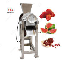 Ananassapmachine Appelsapextractiemachine Hoge Kwaliteit Nieuwe Cashew Appelsapverwerkingsmachine Fabrikant