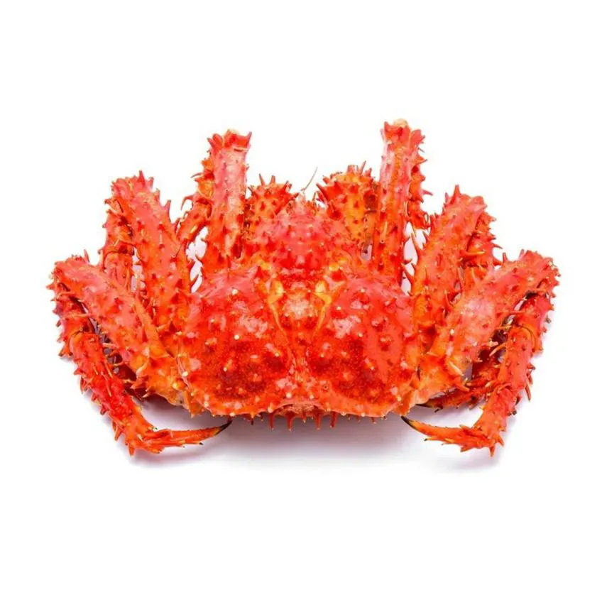 Soft Shell Crab Haft Cut Frozen IQF Best Quality Master Seafood