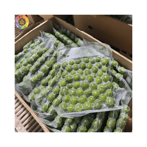 Dracontomelon vert surgelé de haute qualité, fruit acide, IQF, origine Vietnam, vente en gros en vrac pour les restaurants et les fournisseurs de services alimentaires. - Product Image 1