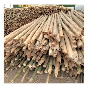 Materias primas ecológicas, venta al por mayor, postes de bambú de Vietnam, Poste/caña/palo/Estaca de bambú Natural 100%, valla de bambú 2024 - Product Image 5