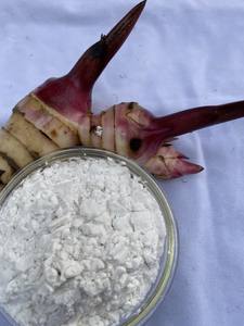 Farine d'arrowroot vietnamienne naturelle séchée, sans gluten, naturelle, de haute qualité, idéale pour la pâtisserie, la cuisine asiatique - Product Image 3