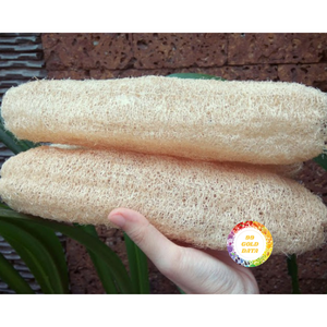 LOOFAH NATUREL ÉCOLOGIQUE DU VIETNAM FOURNISSEUR PRODUIT DE NETTOYAGE DE QUALITÉ SUPÉRIEURE POUR LES AFFAIRES D'EXPORTATION - Product Image 6