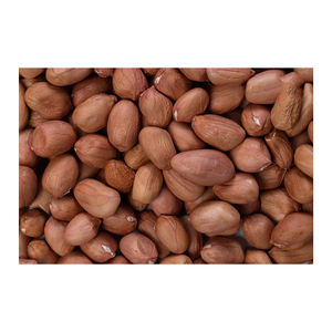 Wholesale Groundnuts packed in jute or <b>vacuum</b> <b>bags</b> for long shelf life - Product Image 6