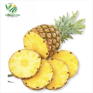 Viet Thien Phu สับปะรดแช่แข็งออร์แกนิกพรีเมี่ยม100% ผลไม้เมืองร้อนหวานฉ่ำธรรมชาติน้ำ iqf สำหรับใช้ทำอาหารส่งออก - Product Image 2