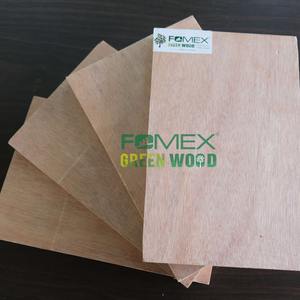 Diseño moderno de Vietnam Núcleo de madera contrachapada de madera dura de 1220*2440mm Precio competitivo con embalaje óptimo para aplicaciones de almacén - Product Image 6