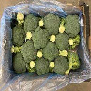 100% brocoli frais biologique disponible à un prix raisonnable - Product Image 5