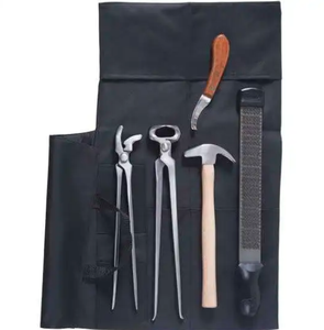 Kit d'équipement de fermeur professionnel sur mesure en acier inoxydable de haute qualité pour chevaux et chiens, 7 pièces, outils vétérinaires de la meilleure qualité - Product Image 2