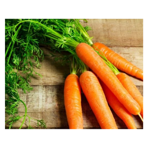 Carotte fraîche congelée de qualité supérieure en provenance du Vietnam fournisseurs à bon prix exportation en vrac - Product Image 3