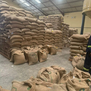 เมล็ดกาแฟพรีเมียม คั่วบด โรบัสต้า ความชื้น 1% บรรจุถุง 10 กก. สำหรับขาย - Product Image 1