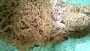 Vietnam Eucheuma Cottonii Seaweed Affordable Supply For Food And Beverage Industry - Product Image 6