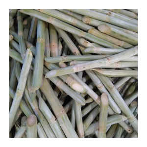 Caña de azúcar congelada con dulzura premium-El más vendido en el sudeste asiático, ahora disponible para envío mundial - Product Image 1