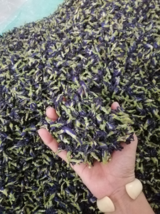 Poudre de pois bleu, vente en gros, papillon séché, fleur de pois, papillon, thé Akina - Product Image 3