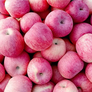 Manzanas Congeladas de Alta Calidad, Compra al por Mayor, Fabricante, Exportador - Product Image 5