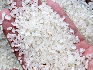 ข้าวหอมมะลิ arroz jazmin/arroz grano Largo fragante 5% quebrado-น้ำหอม Riz-arroz-WA 0084 607 322 989 - Product Image 6