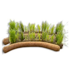 Large Supply COIR <b>LOG</b> / PALM MAT Landslide Prevention with Coir <b>Logs</b> for River Dike Construction - Product Image 1