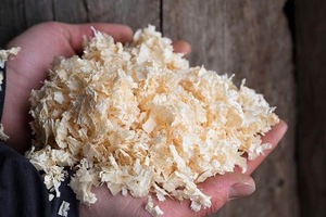 Precio muy barato y la mejor calidad de madera de afeitar/virutas de madera para caballos para ropa de cama Animal de Vietnam - Product Image 3