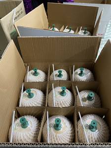 Vente en gros de jeunes noix de coco fraîches du Vietnam pour la distribution en vrac de fruits aux supermarchés, destinées aux marchés mondiaux du commerce de boissons et d'aliments. - Product Image 5