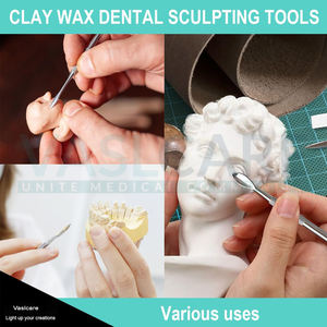Juego de Herramientas para Esculpir Cera, 12 Piezas, Instrumentos Dentales para Cera, de Doble Punta, Manuales, con Certificación CE de Vaslcare - Product Image 6