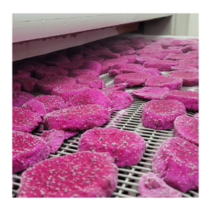 Trozos de fruta de dragón congelado Precio bajo Entrega rápida Calidad DE EXPORTACIÓN DE Vietnam - Product Image 6