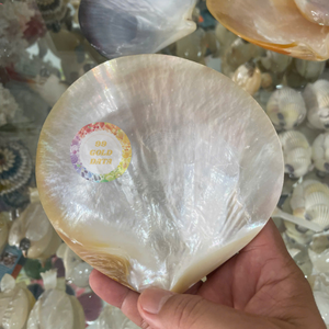 18x25mm Blancs en Nacre pour Incrustation de Guitare et Décoration Artisanale Coquillage Craft-Caryln 0084935825297 - Product Image 5