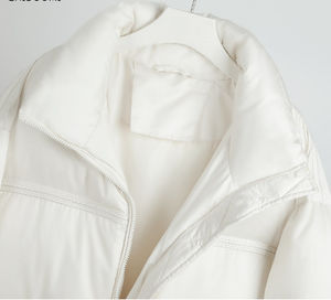 "2025 hommes vestes personnalisé femme hiver fermeture éclair col montant recadrée bouffantes vestes en cuir imperméable coton remplissage" - Product Image 2