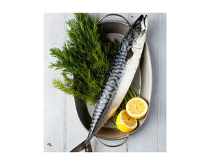 Oferta del Fabricante: Bloque de Materia Prima de Pescado Atún Congelado del Pacífico, Blanco y Azul, 200-250g, en Stock, de Buena Calidad - Product Image 2